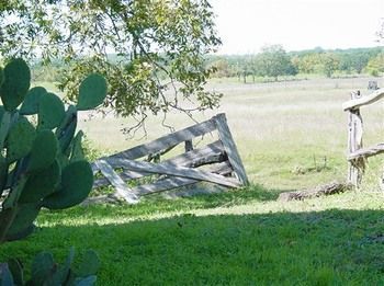 Back Forty Of Fredericksburg Bed & Breakfast Екстериор снимка